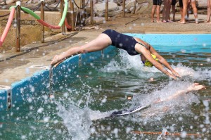 30 January 2016 WASA Meet Bilgola Pool  69